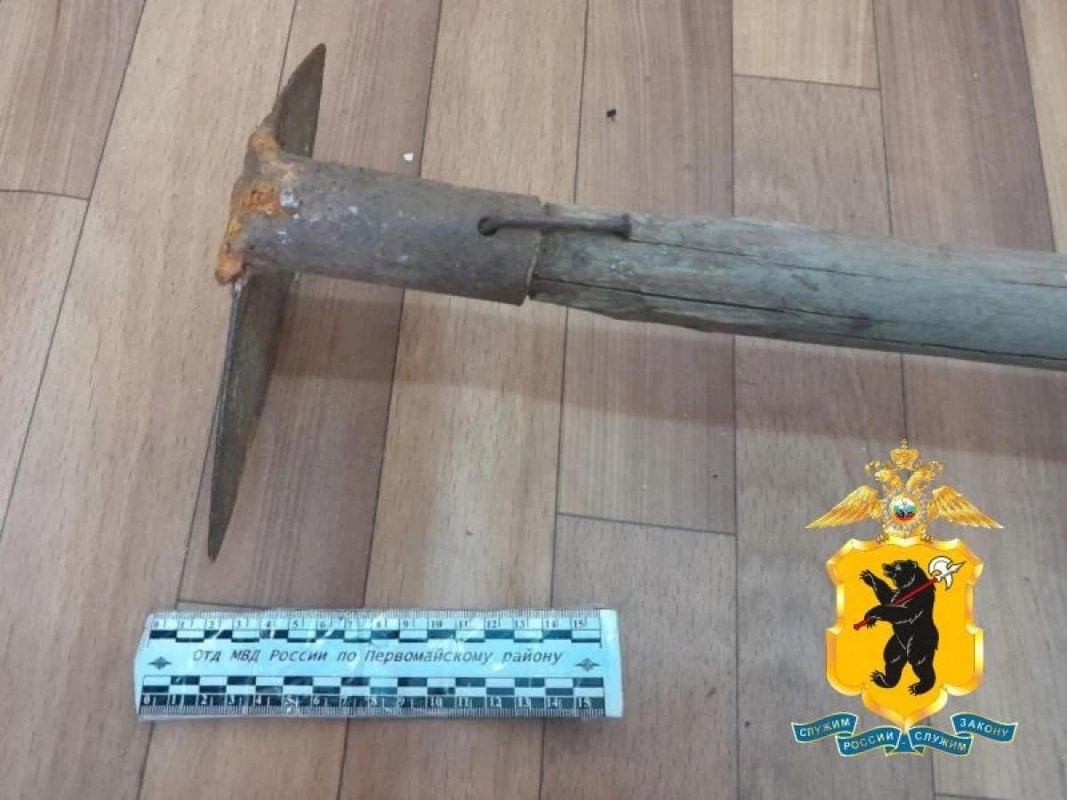 Жителя Ярославской области будут судить за удар тяпкой по голове гостьи Жителя Ярославской области будут судить за удар тяпкой по голове гостьи