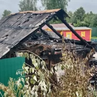В Ярославской области молния уничтожила хозпостройку