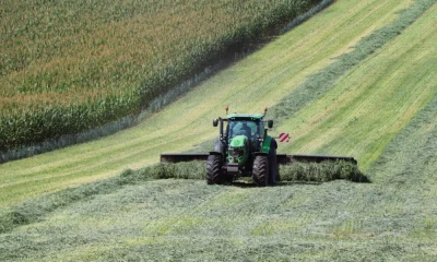 Михаил Евраев представил достижения ярославских аграриев на площадке СберСити в Москве