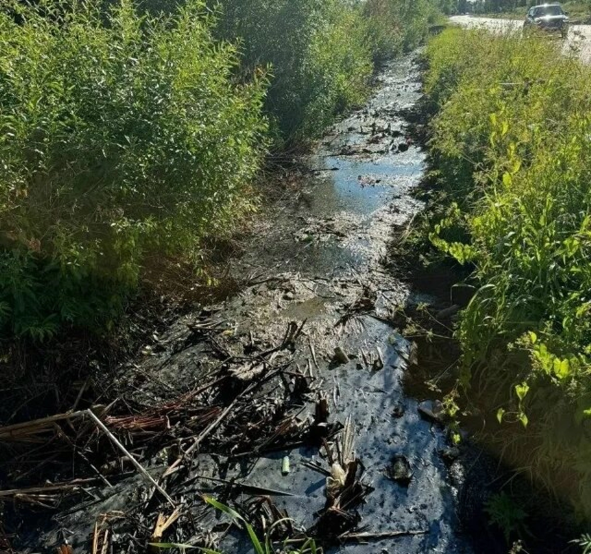 Загрязненную водоотводную канаву в рыбинском Копаево обещают прочистить