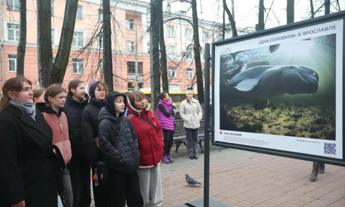Фотовыставка о Соловецком архипелаге открылась на Первомайском бульваре в Ярославле Фотовыставка о Соловецком архипелаге открылась на Первомайском бульваре в Ярославле