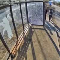 Разбивший &laquo;Яостановку&raquo; молодой человек явился к властям с повинной