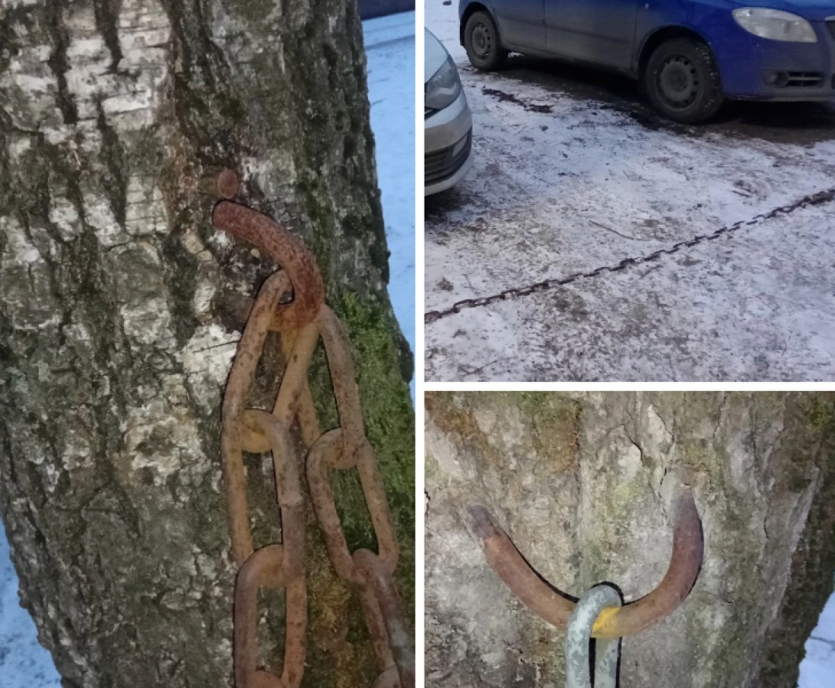 УК заплатит за травму ярославне, запнувшейся за натянутую автовладельцами цепь УК заплатит за травму ярославне, запнувшейся за натянутую автовладельцами цепь