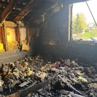 В&nbsp;Рыбинском округе сгорел дачный дом