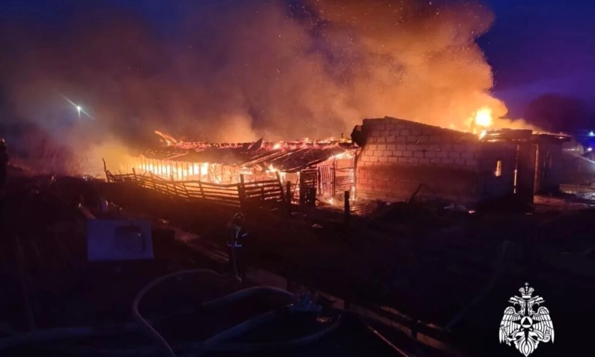 В Ярославской области в пожаре на частной ферме погибли два человека