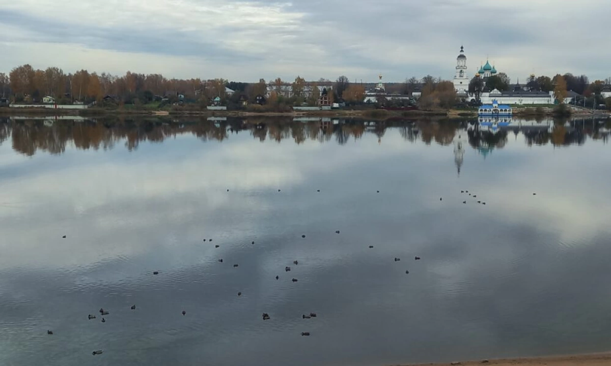 Ученые обнаружили в Волге десять новых для реки видов рыб