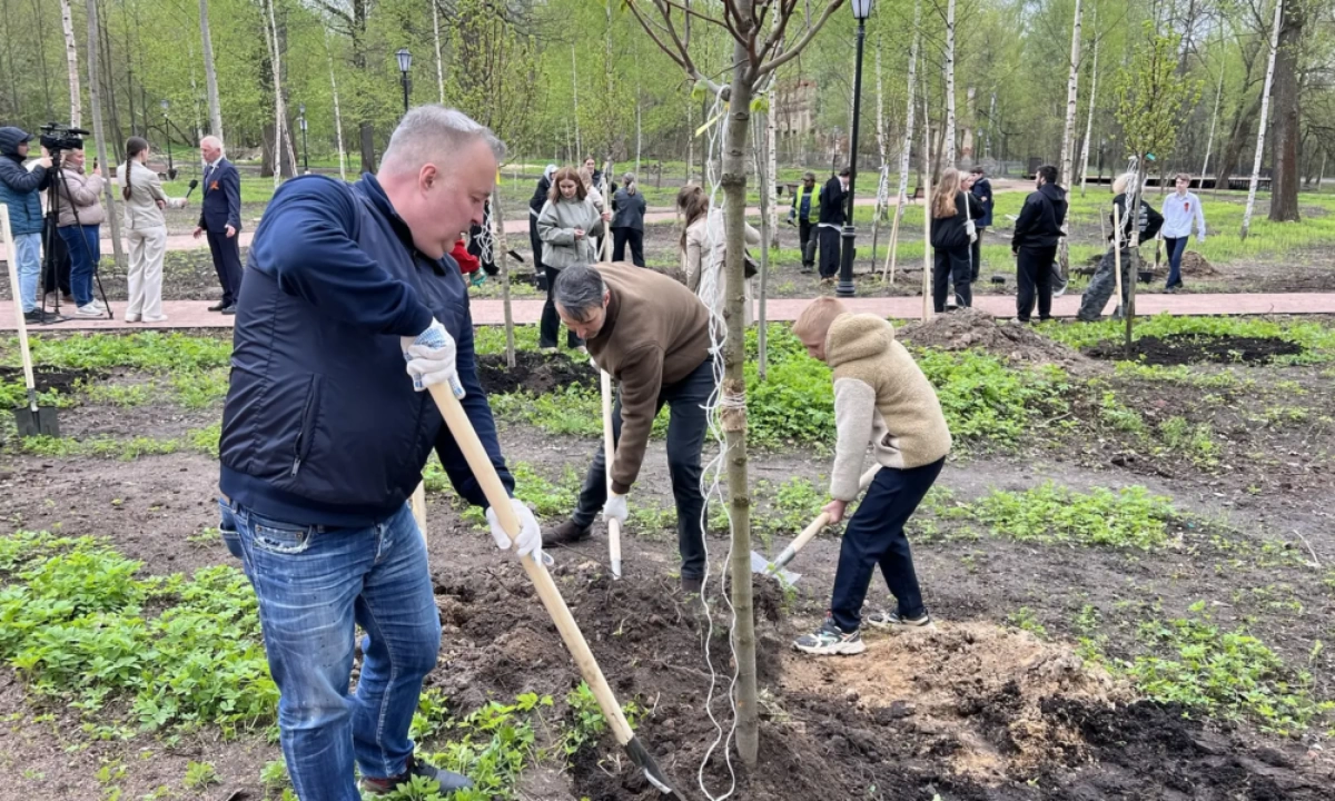 В Петропавловском парке высадили деревья согласно исторического дендра плана