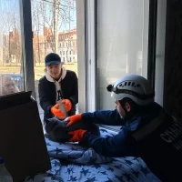 В Ярославле в квартире сгоревшего дома найдена кошка