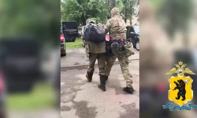 В Ярославле забивший кота об ступеньку живодер стал фигурантом уголовного дела