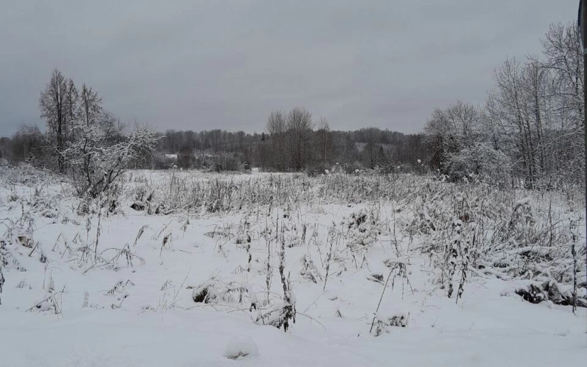 В Ярославской области по иску прокуратуры более 290 гектаров земли возвращены государству
