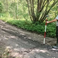 В Ярославле закроют проезды в заповедном бору на берегу Волги