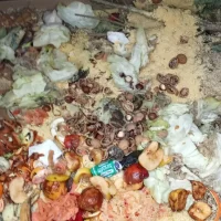 В Ярославле появился третий общественный компостер