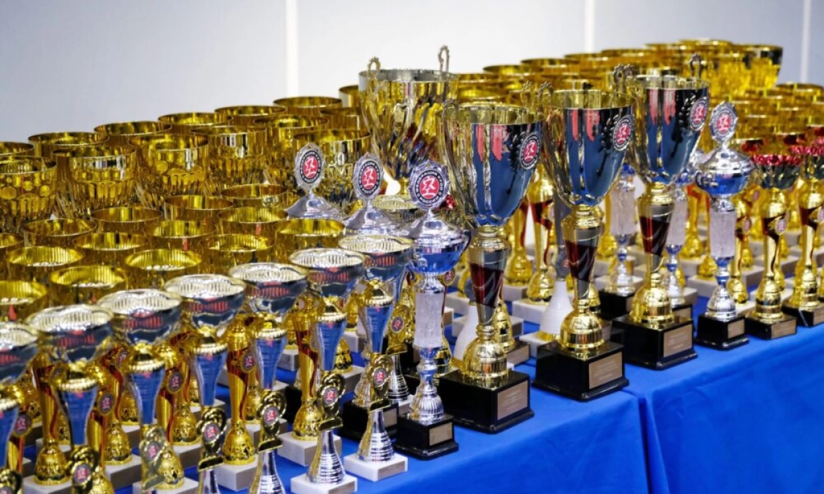 Успешные спортсмены и тренеры в Ярославской области получают денежные выплаты Успешные спортсмены и тренеры в Ярославской области получают денежные выплаты