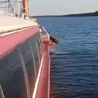 Теплоход с пассажирами сел на мель в Ярославской области