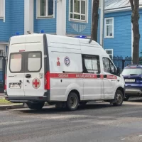 В Ярославской области трехлетний ребенок госпитализирован после нападения собаки &nbsp;&nbsp;&nbsp;