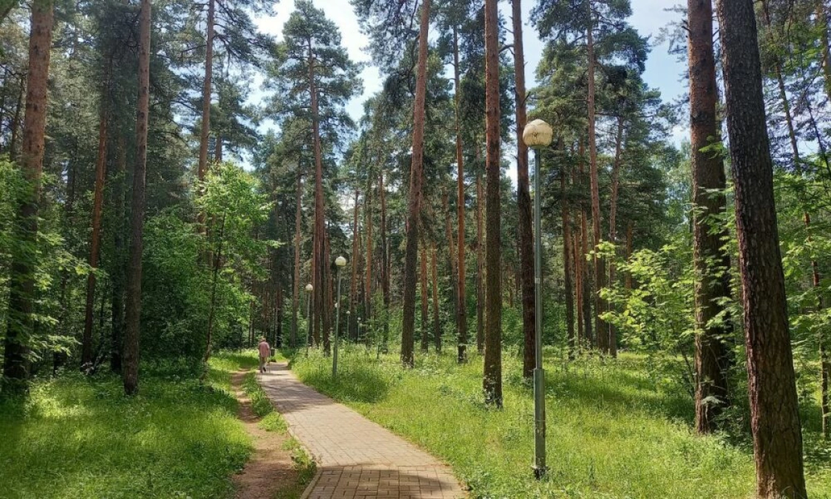 В Ярославской области 111 жителей перешагнули столетний рубеж В Ярославской области 111 жителей перешагнули столетний рубеж