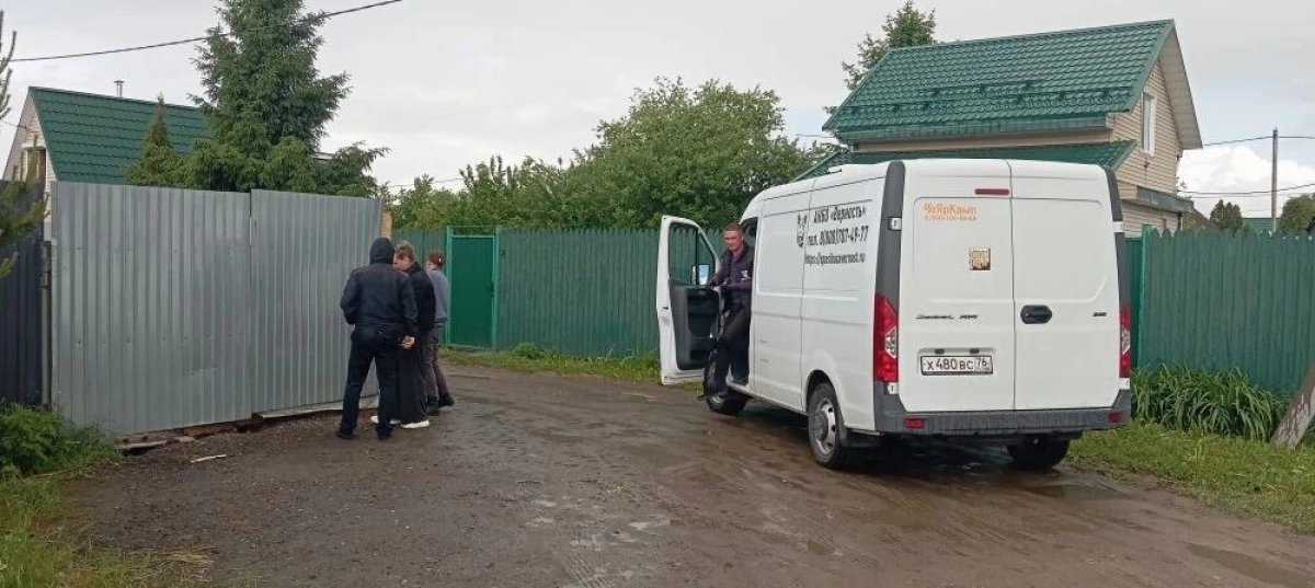 В Ярославле проведена проверка по сообщению о нападении своры собак на женщину В Ярославле проведена проверка по сообщению о нападении своры собак на женщину