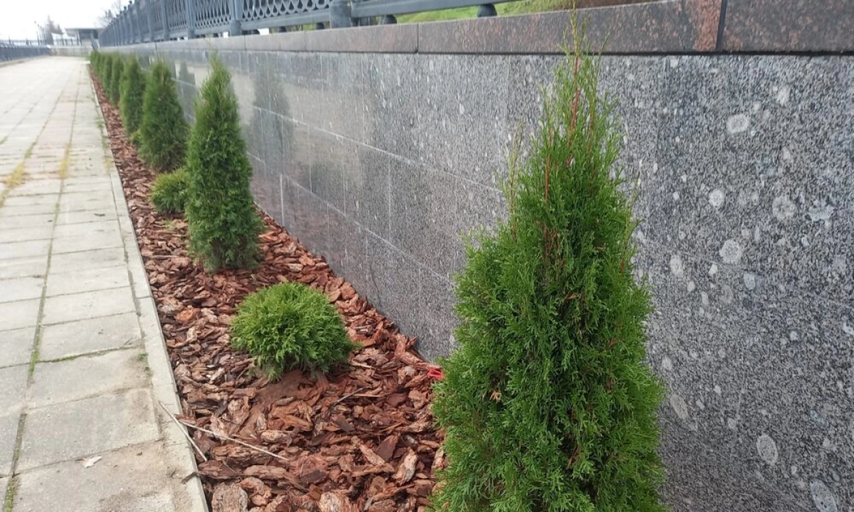 В Ярославле продолжается ремонт облицовки нижнего яруса набережной В Ярославле продолжается ремонт облицовки нижнего яруса набережной