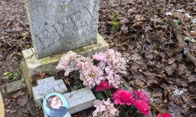 Ярославцы сообщают о погроме на старинном кладбище