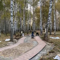В Ярославле не нашлось желающих доблагоустроить парк Судостроителей