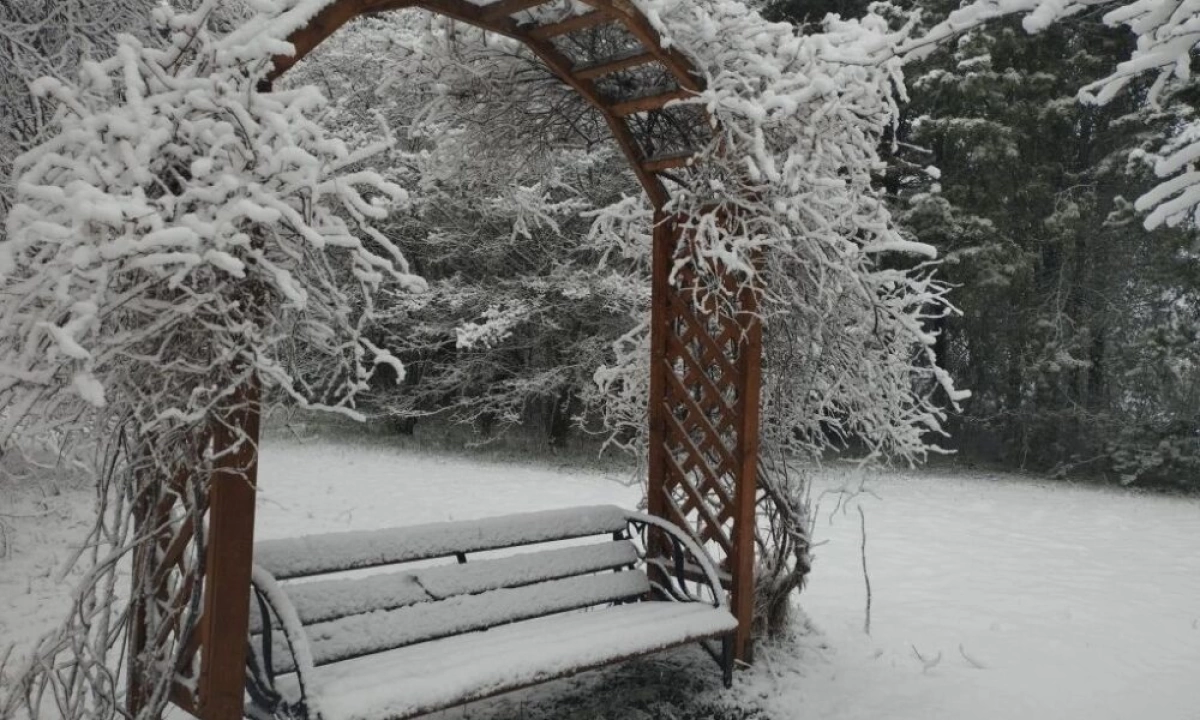 В Ярославской области из-за апрельского снегопада закрыли &laquo;Японский сад&raquo;