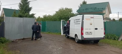 В Ярославле проведена проверка по сообщению о нападении своры собак на женщину