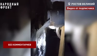 В Ростове Великом почти 60 семей выживают на болоте из канализации