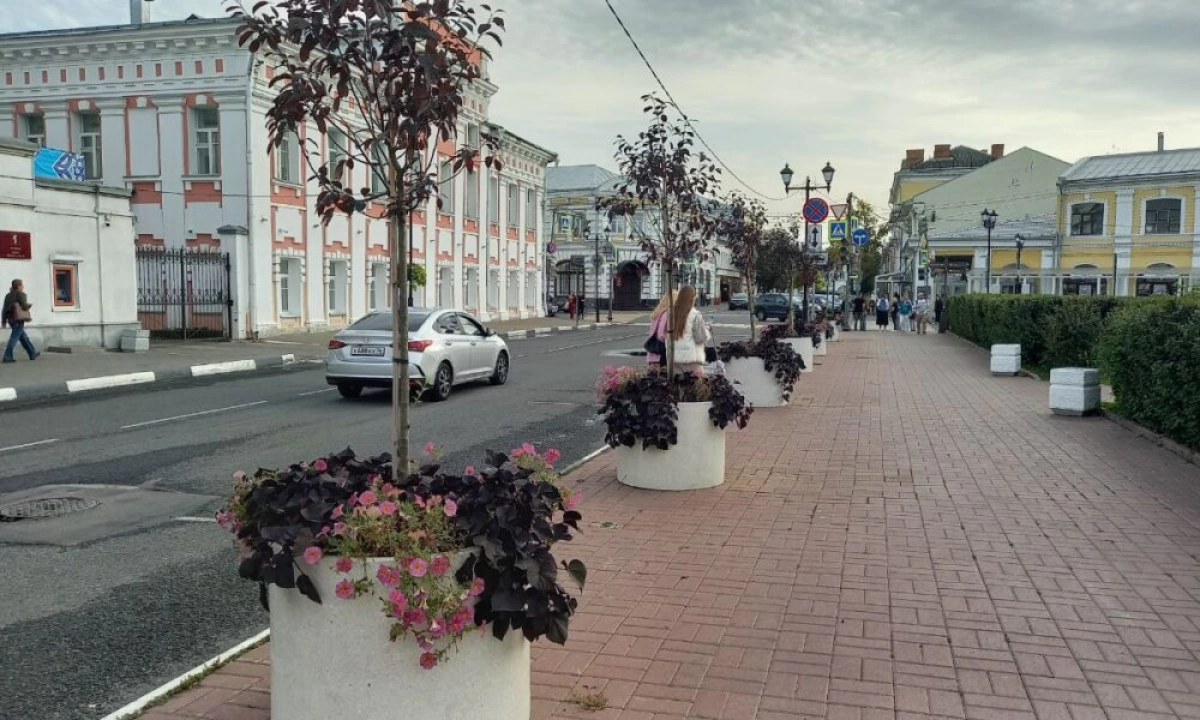 В Ярославле расширят практику мобильного озеленения В Ярославле расширят практику мобильного озеленения