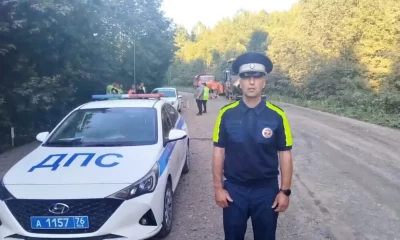 В Ярославской области насмерть сбили пешехода