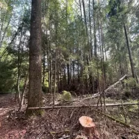 <br />
<b>Notice</b>:  Undefined variable: title_field in <b>/var/www/s246446/data/www/tutaev.city/templates/portal/controllers/content/widgets/list/list_news_custom.tpl.php</b> on line <b>21</b><br />
<br />
<b>Notice</b>:  Undefined index:  in <b>/var/www/s246446/data/www/tutaev.city/templates/portal/controllers/content/widgets/list/list_news_custom.tpl.php</b> on line <b>21</b><br />
