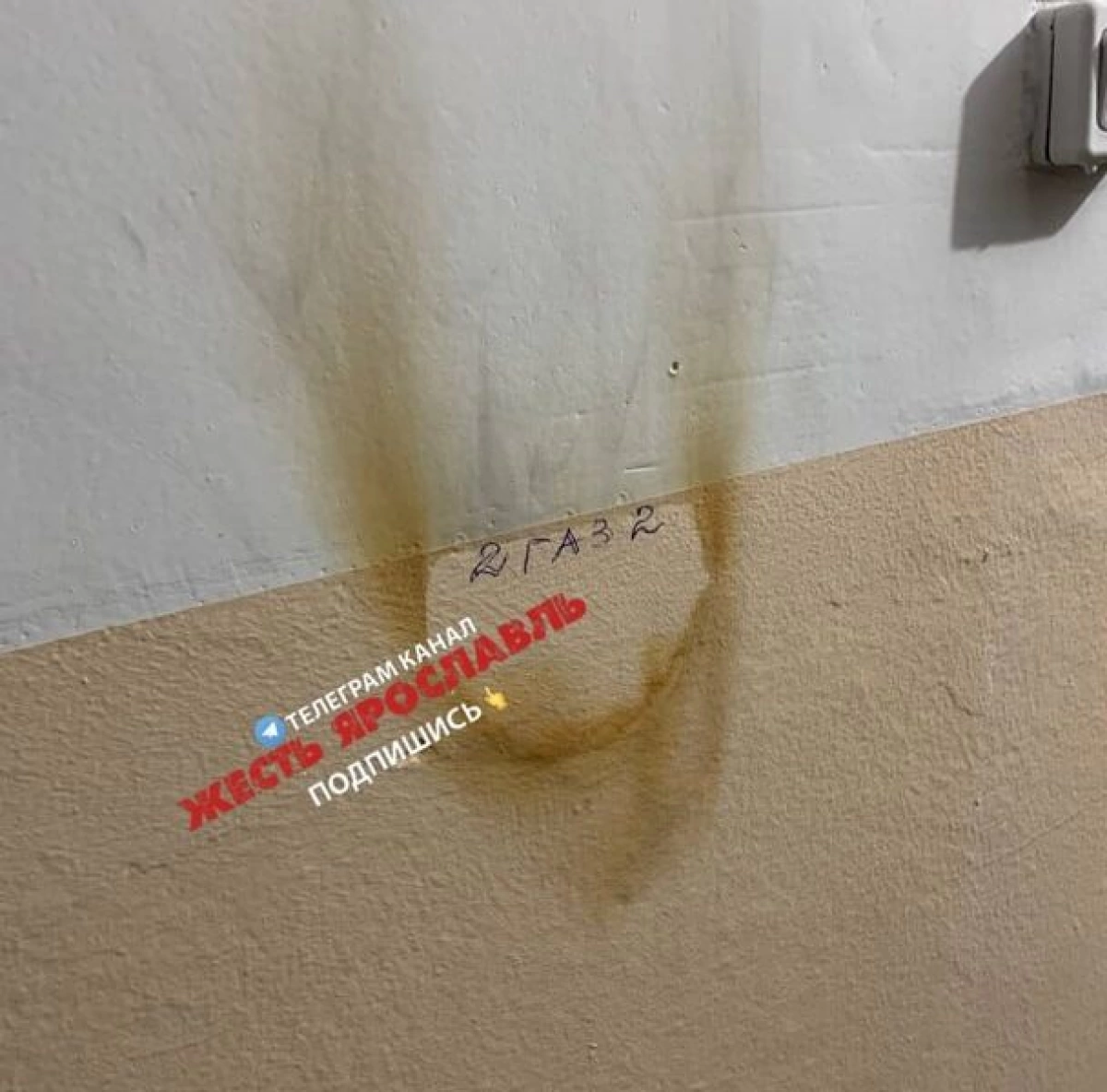 «Склонна к поджогам»: в Ярославле психически больная женщина терроризирует соседей «Склонна к поджогам»: в Ярославле психически больная женщина терроризирует соседей