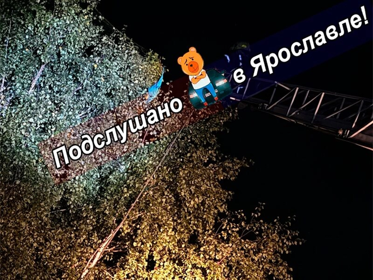 В Ярославле сбежавший из зоопарка попугай ара перелетел Волгу В Ярославле сбежавший из зоопарка попугай ара перелетел Волгу