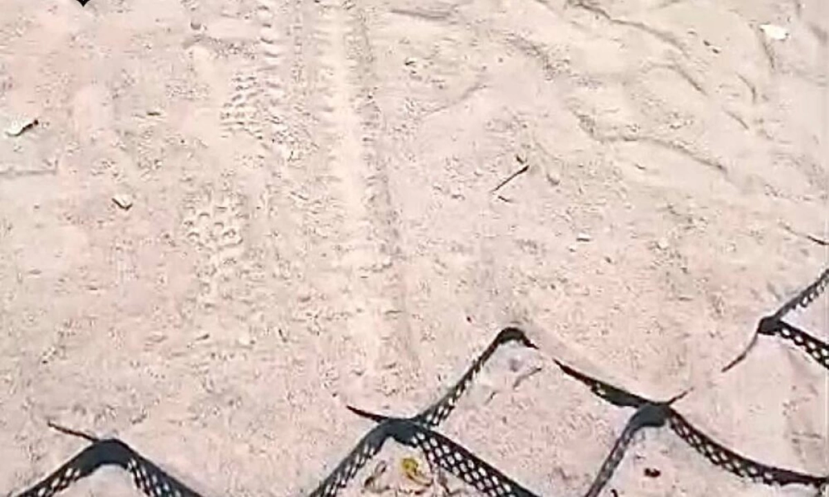 Власти просят ярославцев не мешать благоустройству Петропавловского парка Власти просят ярославцев не мешать благоустройству Петропавловского парка