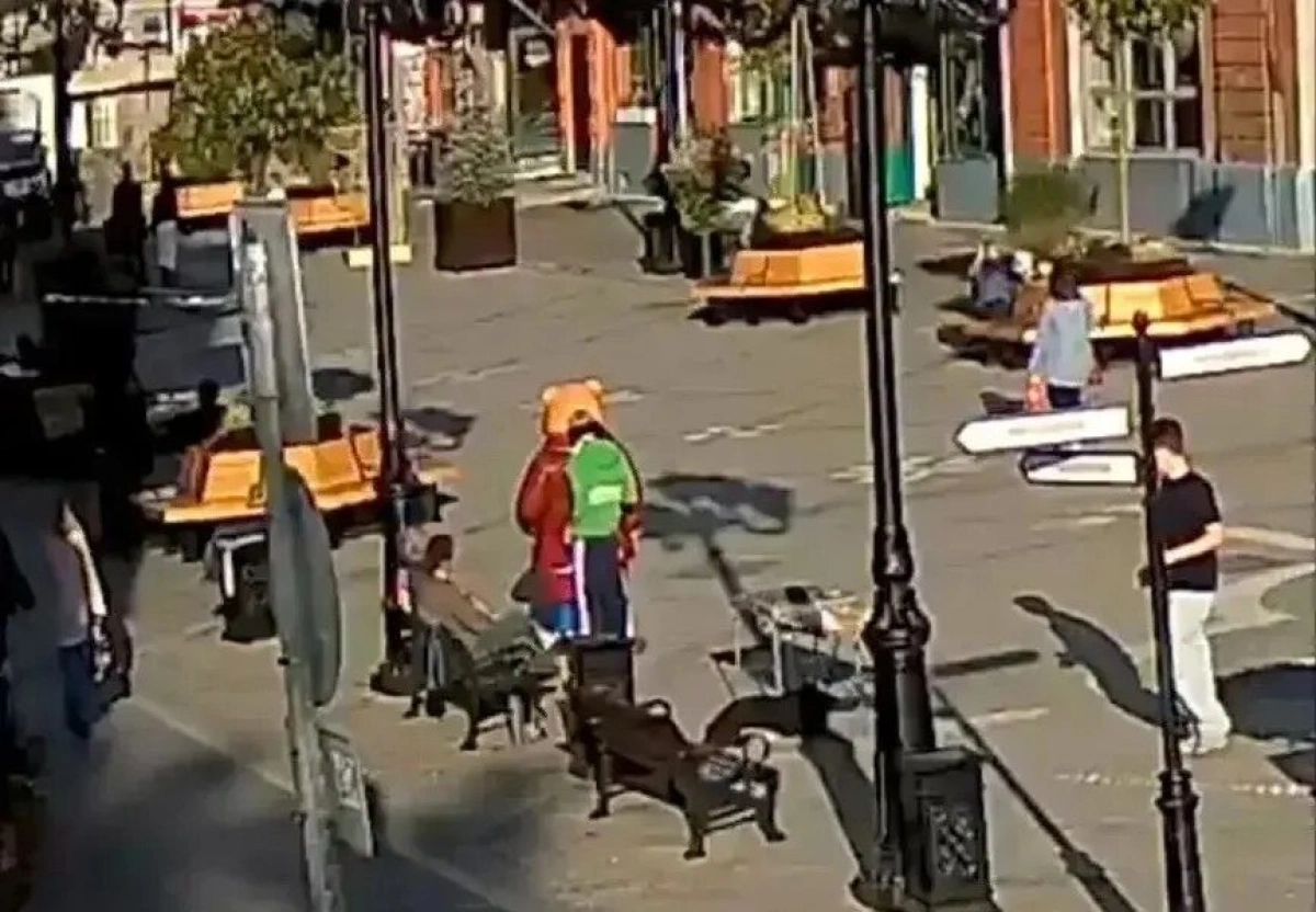 В Ярославле полиция ищет вандала за порчу медведей в пешеходном центре В Ярославле полиция ищет вандала за порчу медведей в пешеходном центре