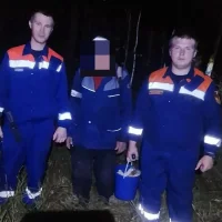 В Ярославской области из леса вывели 80-летнего грибника