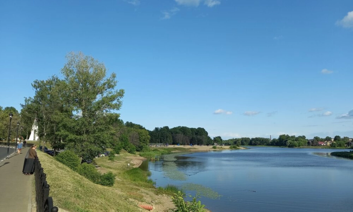 В Ярославле в парке «Подзеленье» спилят погибшие вязы и ясени