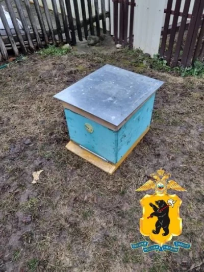 В Ярославской области полиция раскрыла кражу 10 пчелиных ульев