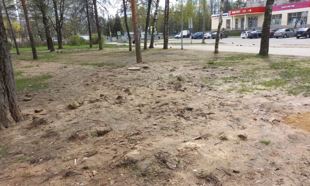 Мэрия Ярославля поставила на просушку парк 30-летия Победы