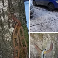 УК заплатит за травму ярославне, запнувшейся за натянутую автовладельцами цепь