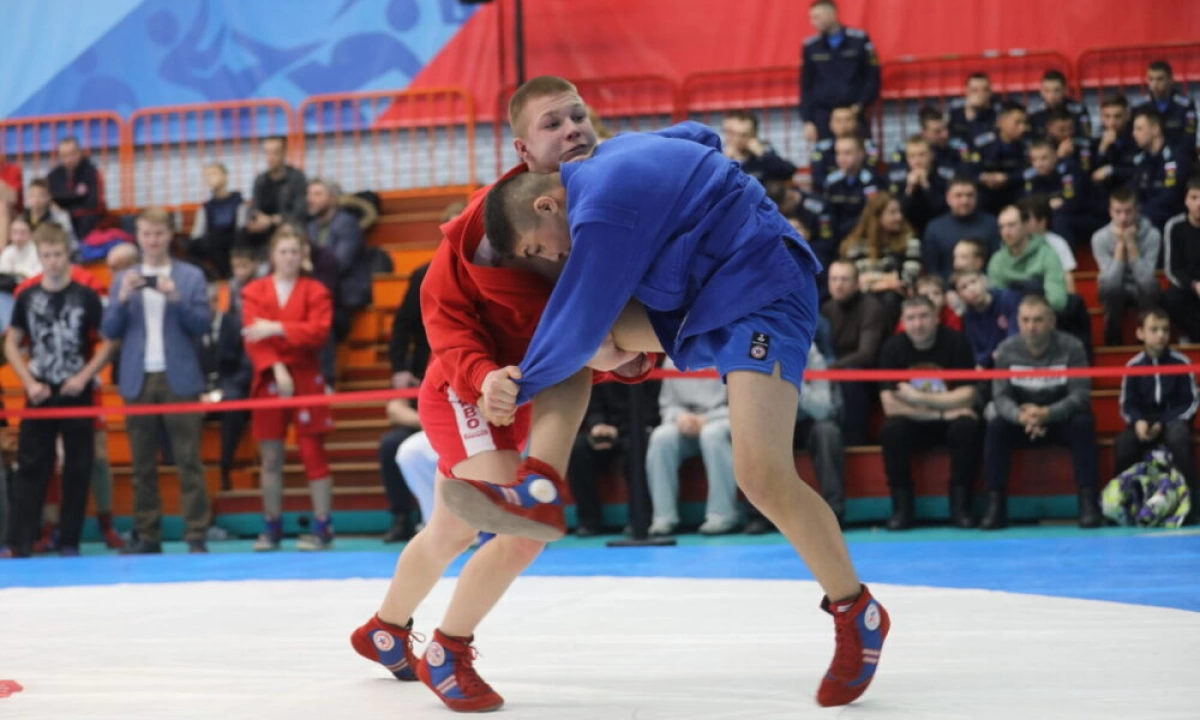 В Ярославле соревновались самбисты из 25 регионов России