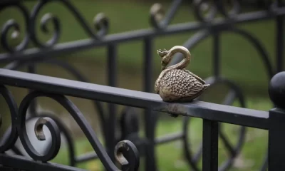 В рыбинском Карякинском саду появилась Царевна-лебедь