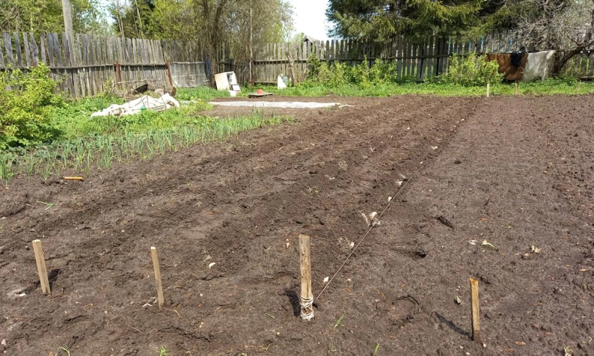 У 90-летней ярославны из пенсии списали налог за несуществующую землю У 90-летней ярославны из пенсии списали налог за несуществующую землю