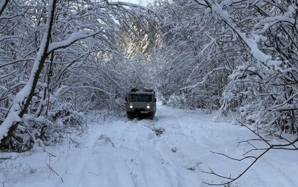 В Ярославской области энергетики готовятся к новому снегопаду
