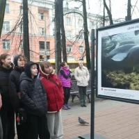 Фотовыставка о Соловецком архипелаге открылась на Первомайском бульваре в Ярославле