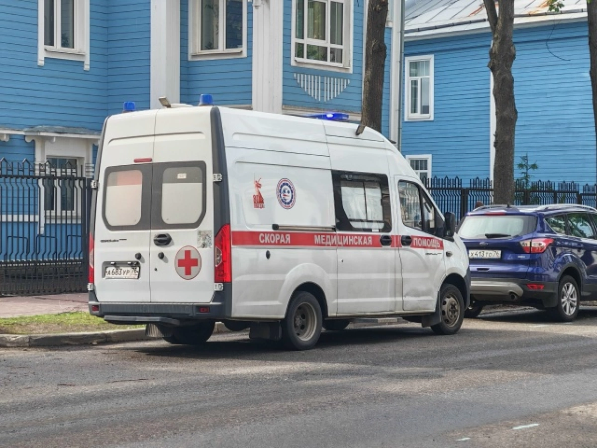 В Ярославской области трехлетний ребенок госпитализирован после нападения собаки В Ярославской области трехлетний ребенок госпитализирован после нападения собаки