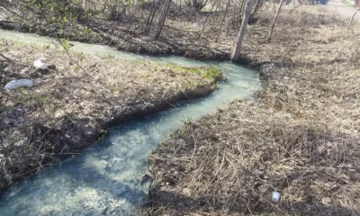 В Ярославле жители вновь сообщают о позеленевшем Дудкинском ручье