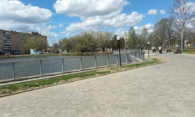 В ярославском парке 30-летия Победы вырубят 47 засохших и больных деревьев