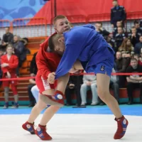 В Ярославле соревновались самбисты из 25 регионов России