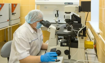 Тысяча жительниц Ярославской области сможет бесплатно пройти процедуру ЭКО