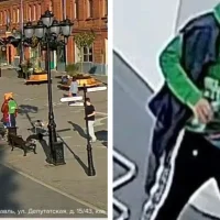 В Ярославле нашли вандала, повредившего фигуру медведя в пешеходном центре